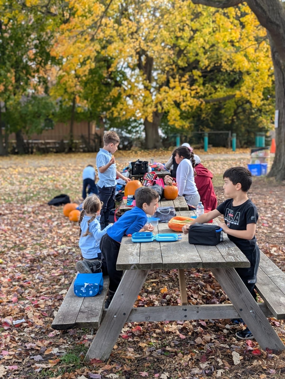Jana Academy Activities 10